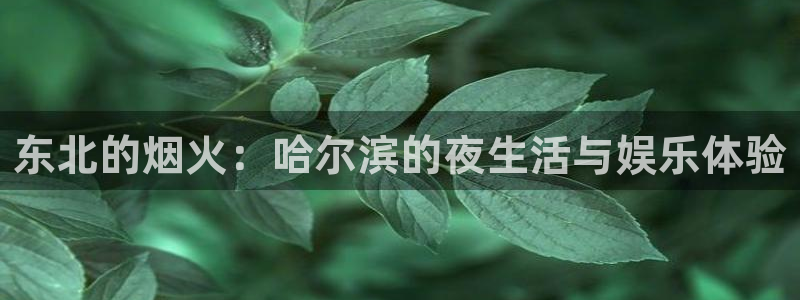 安信12平台：东北的烟火：哈尔滨的夜生活与娱乐体验