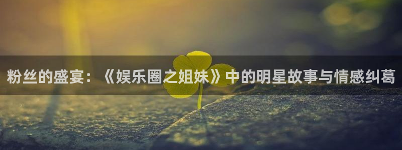 安信12注册：粉丝的盛宴：《娱乐圈之姐妹》中的明星故事与情感纠葛