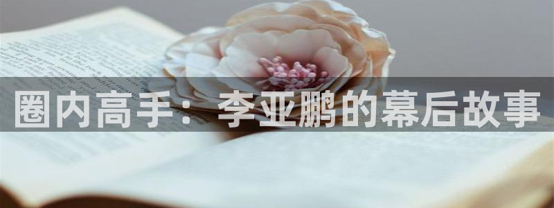 安信12登陆：圈内高手：李亚鹏的幕后故事