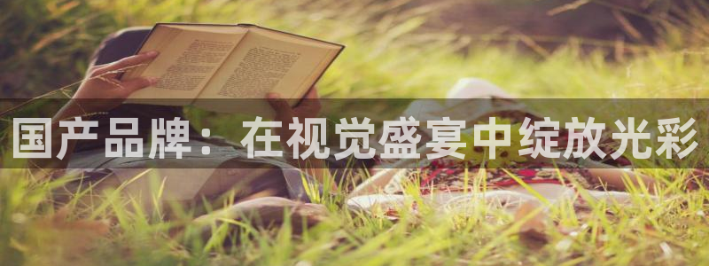 安信12最新版本更新内容：国产品牌：在视觉盛宴中绽放光彩